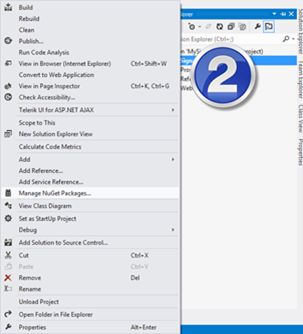 Manage Nuget Package
